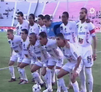 vive wac